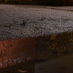 London/Forest Hill/DSC_6181.JPG